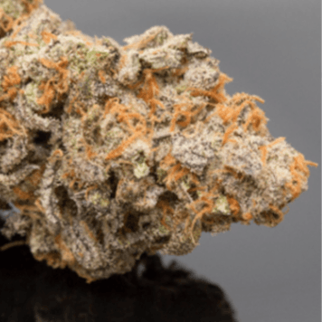 Photo of Grape Calyx